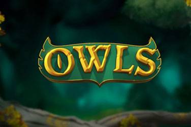 Owls