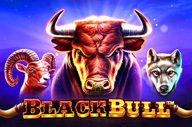 Black bull