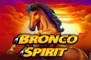 Bronco spirit