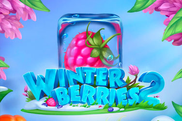 Winterberries 2